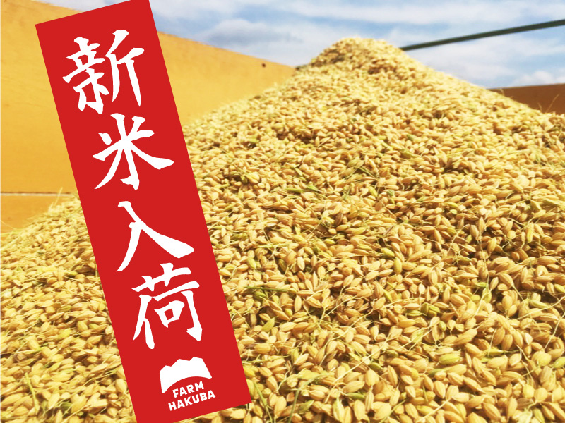 web広告用新米入荷.jpg